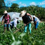 O-seminário-é-voltado-para-os-agricultores-familiares