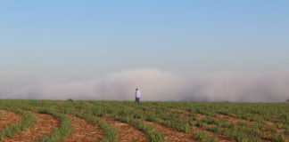 PIB agropecuário deve registrar crescimento em 2020, mesmo assim, unidades produtoras insistem em não corrigir salários