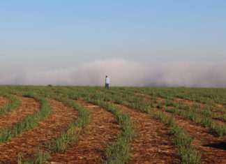 Assalariados rurais: Quase metade dos reajustes salariais ficaram abaixo da inflação