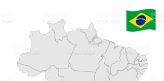 Agro paulista: subsetor da cana, chega a mais de 56 mil empregados(as)