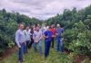 FERAESP e sindicato, organiza visita a fazenda de cultivo de laranja