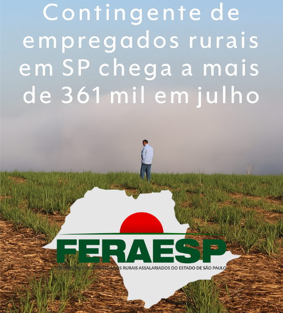 Contingente de empregados rurais em SP chega a mais de 361 mil em julho