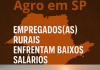 Empregados(as) rurais enfrentam baixos salários no setor agropecuário paulista