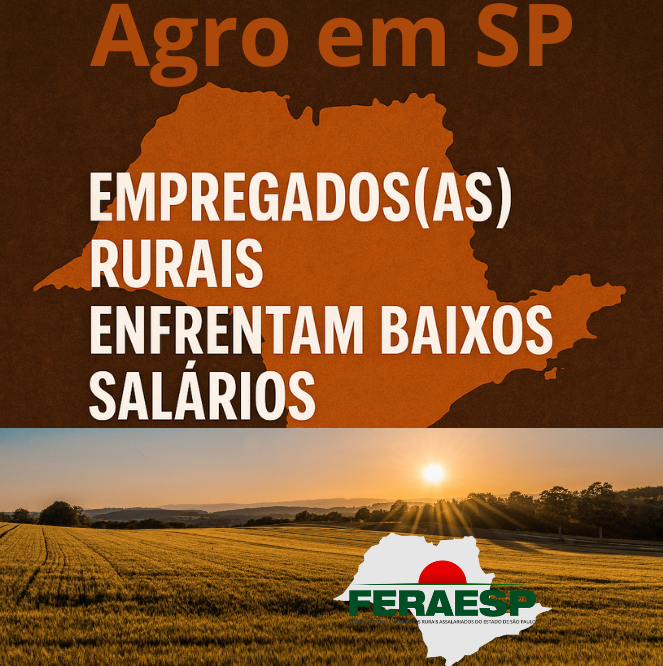 Agro em SP