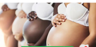 Direitos das mulheres grávidas e mães no regime CLT e PJ