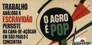 Trabalho análogo à escravidão persiste na cana-de-açúcar em São Paulo