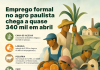 Emprego formal no agro paulista chega a quase 340 mil em abril