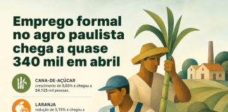 Emprego formal no agro paulista chega a quase 340 mil em abril